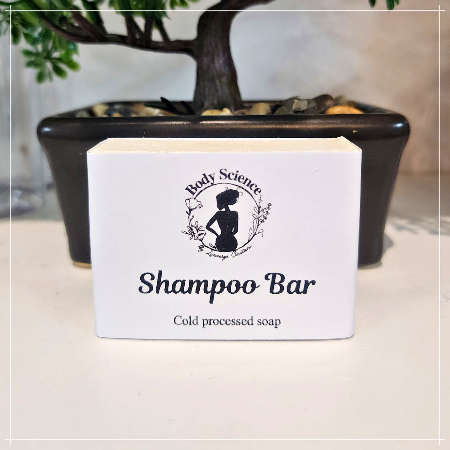Shampoo Bar